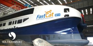Fast Cat