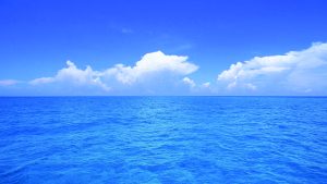 Ocean